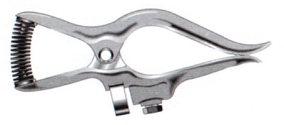 lencolpg300.jpg